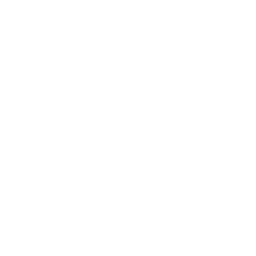 insta-logo-white